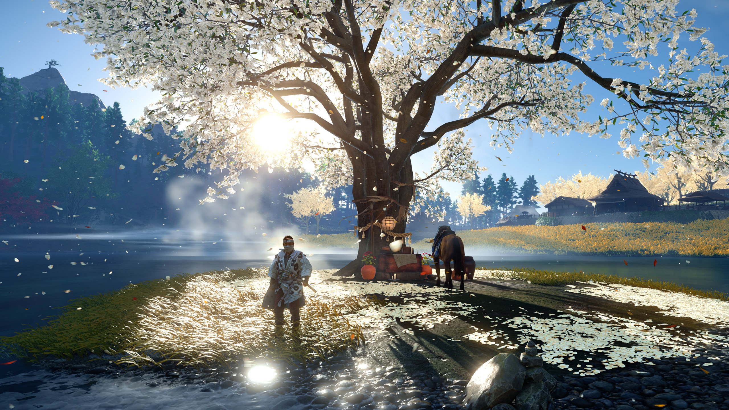 Now that is a nice tree